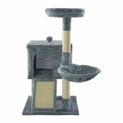 Yashirin joylari bo'lgan mushuk daraxti