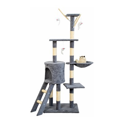 Yashirin ichi bo'sh musht daraxtlari