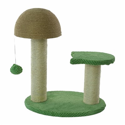 Past profilli mushuk daraxtlari