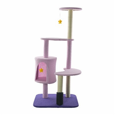 Zamonaviy mushuk toqqa chiqish uchun ramka