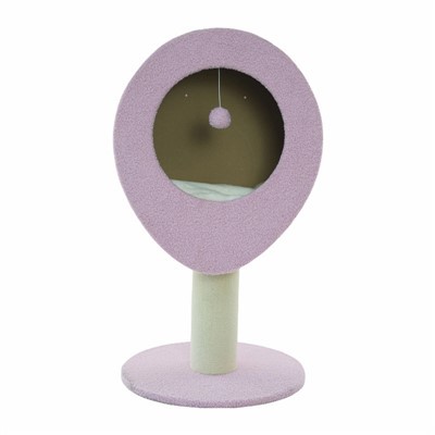 To'shakli uzun bo'yli mushuk daraxtlari